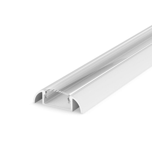 profile-P2-1+C1-white-transparent.jpg