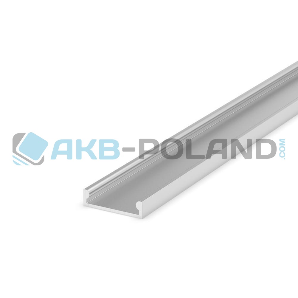 Profil LED ALU Mini Płaski 2m + klosz | srebrny