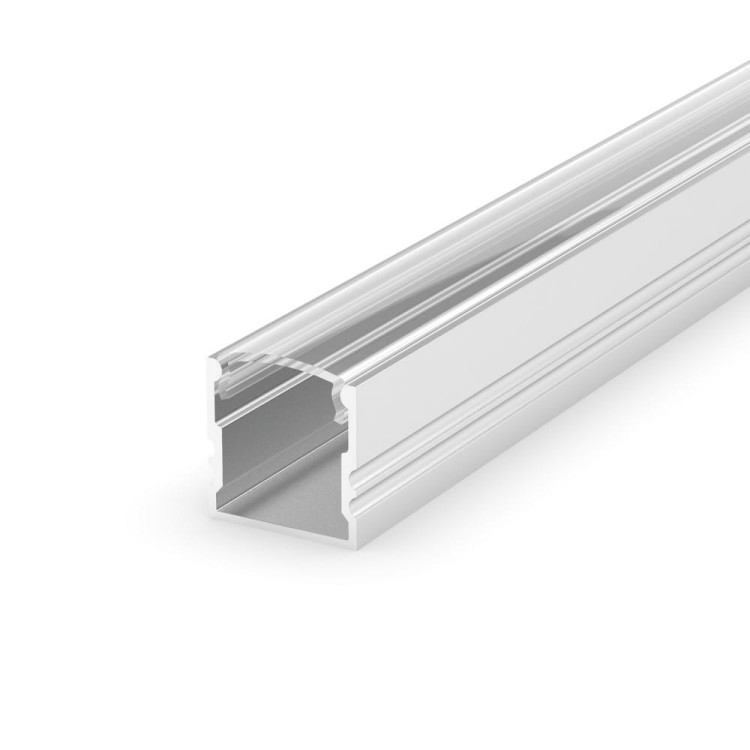 profile-P5-1+C1-silver-transparent.jpg