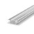 profile-P6-1+C1-silver-transparent.jpg