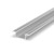 profile-P6-1-silver.jpg