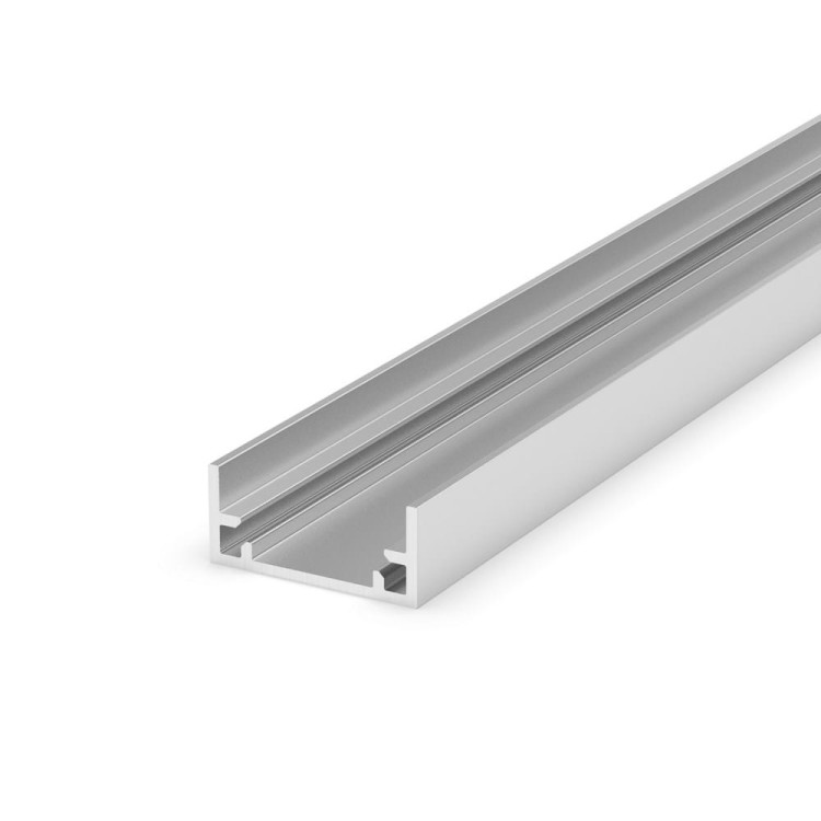 profile-P11-1-silver.jpg