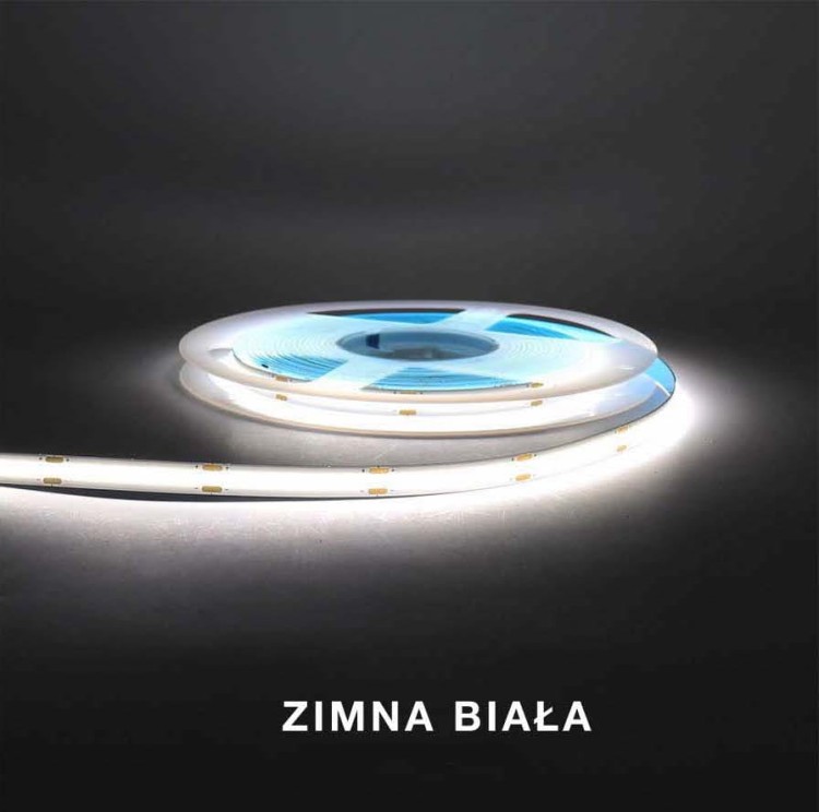zimna.jpg