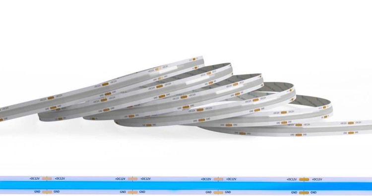 cob 1 BLUE.jpg