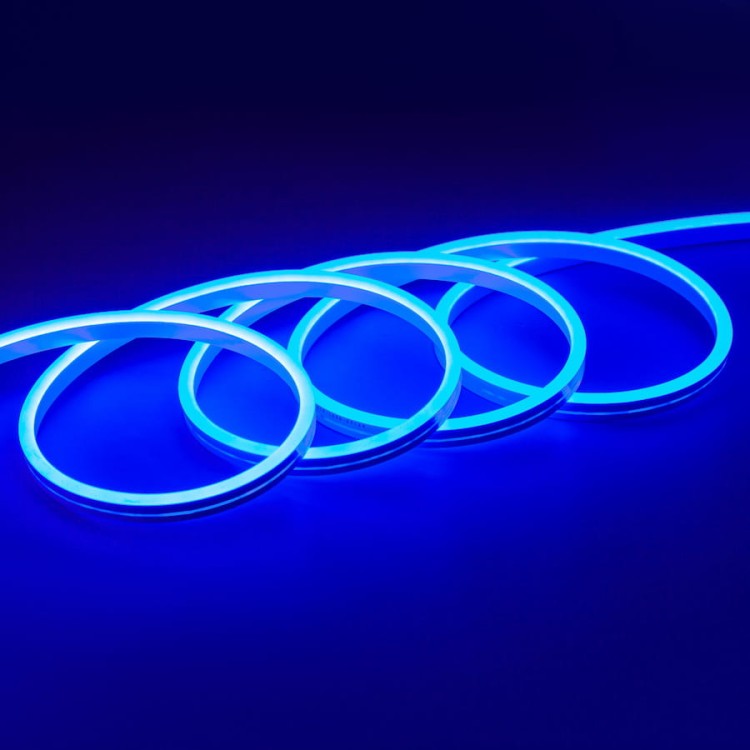 blue2.jpeg